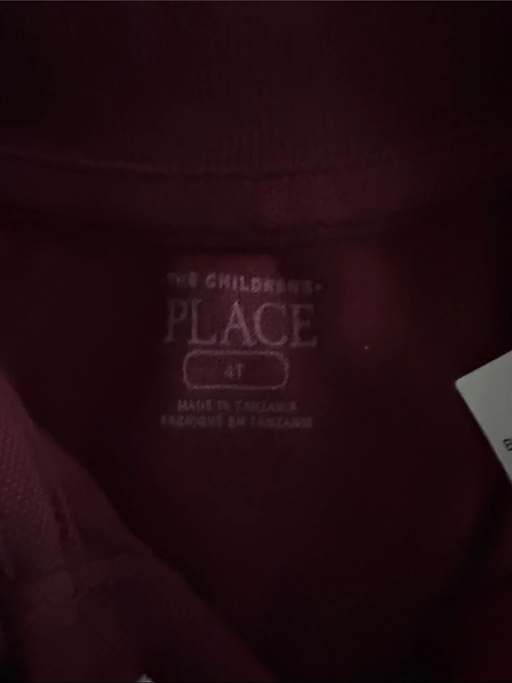 The Children's Place Burgundy Polo Shirt